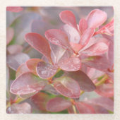 Hübsche rosa Zweige Glasuntersetzer (Vorderseite)