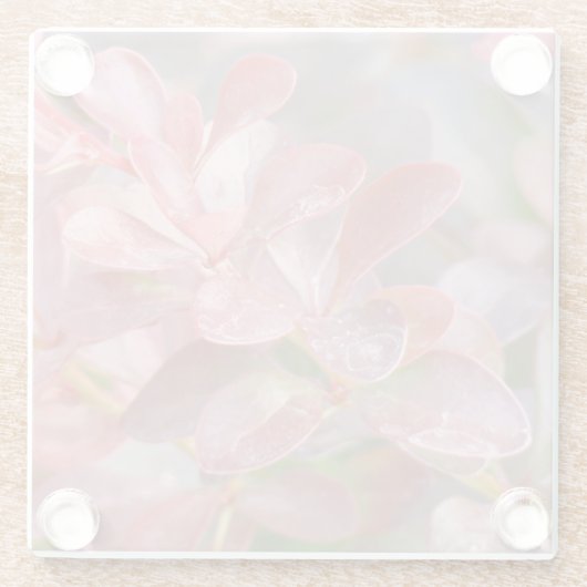 Hübsche rosa Zweige Glasuntersetzer (Rückseite)