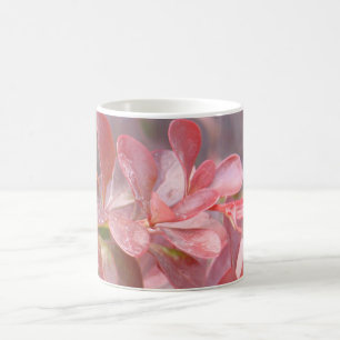 Hübsche rosa Zweige Kaffeetasse