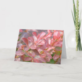 Hübsche rosa Zweige Karte