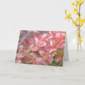 Hübsche rosa Zweige Karte (Gelbe Blume)