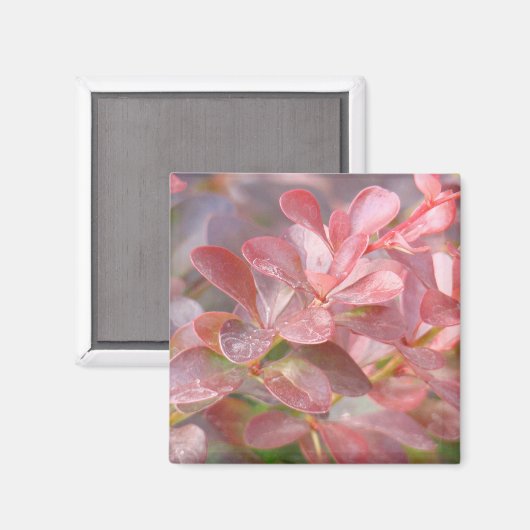 Hübsche rosa Zweige Magnet (Vorderseite/Rückseite)