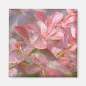 Hübsche rosa Zweige Magnet (Vorne)