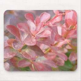 Hübsche rosa Zweige Mousepad