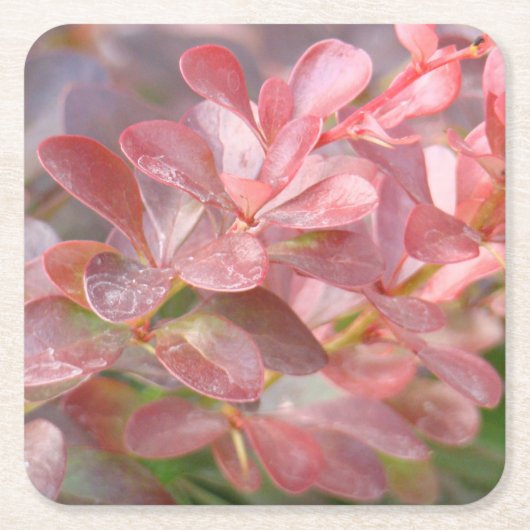 Hübsche rosa Zweige Rechteckiger Pappuntersetzer (Vorderseite)