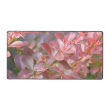 Hübsche rosa Zweige