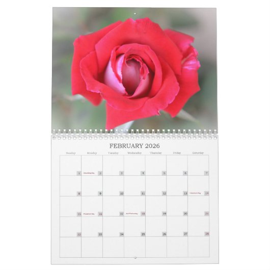 Hübsche Rose Blumenkalender Kalender (Feb 2026)