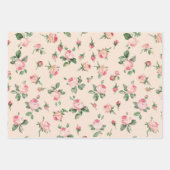 Hübsche Rose Blumenrosa Pfirsichcreme Brautparty Geschenkpapier Set (Vorderseite 2)
