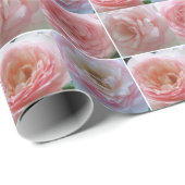 Hübsche Rose Geschenkpapier (Rolleneckpunkt)