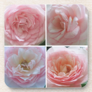 Hübsche Rose Getränkeuntersetzer