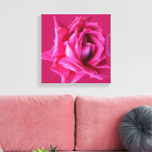 Hübsche Rose in heiß rosa, modern und stilvoll ein Leinwanddruck (Insitu (Wohnzimmer))