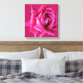 Hübsche Rose in heiß rosa, modern und stilvoll ein Leinwanddruck (Insitu (Schlafzimmer))
