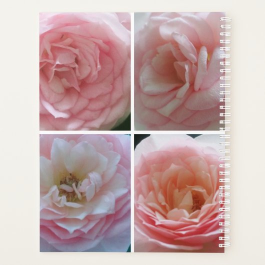 Hübsche Rose Planer (Rückseite)