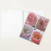 Hübsche Rose Planer (Anzeige)