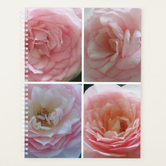 Hübsche Rose Planer (Vorderseite)