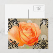 Hübsche Rose Postkarte (Vorne/Hinten)