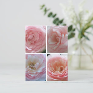 Hübsche Rose Postkarte