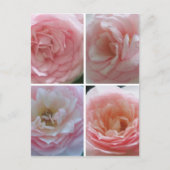 Hübsche Rose Postkarte (Vorderseite)