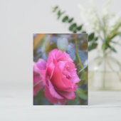 Hübsche Rose Postkarte (Stehend Vorderseite)
