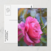 Hübsche Rose Postkarte (Vorne/Hinten)