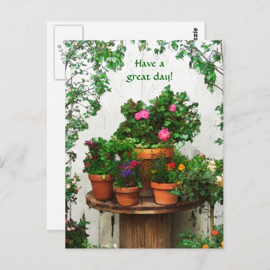 Hübsche Rose Postkarte (Vorne/Hinten)