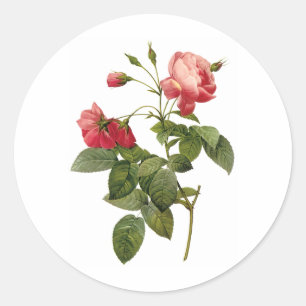 Hübsche Rose Runder Aufkleber