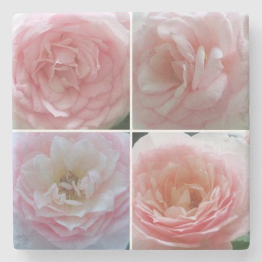 Hübsche Rose Steinuntersetzer (Vorderseite)