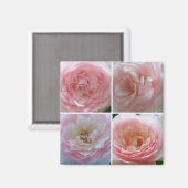 Hübsche Rosen Magnet (Vorderseite/Rückseite)