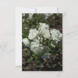 Hübsche Rosen Mitteilungskarte