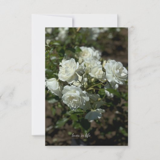 Hübsche Rosen Mitteilungskarte (Vorderseite)