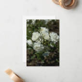 Hübsche Rosen Mitteilungskarte (Vorderseite/Rückseite Beispiel)