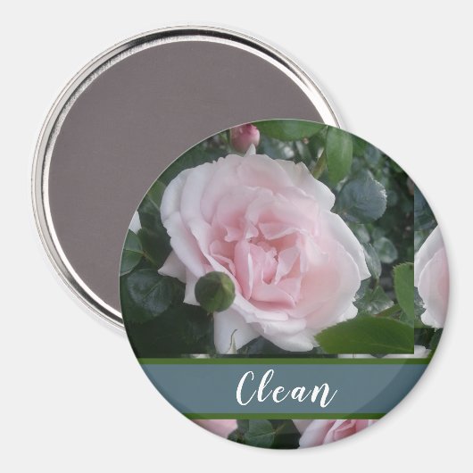 Hübsche Rosenblumen Magnet (Vorderseite/Rückseite)