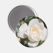 hübsche Rosenblütenkunst. Blumenkunst aus Foto. Magnet (Vorderseite/Rückseite)