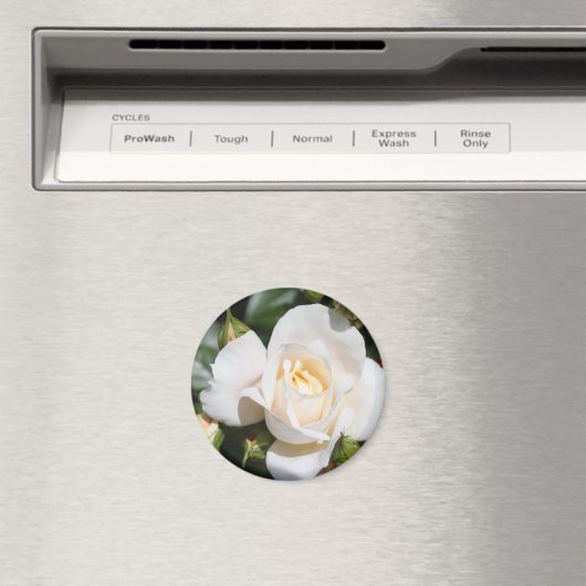 hübsche Rosenblütenkunst. Blumenkunst aus Foto. Magnet (In Situ (Geschirrspüler))