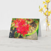 Hübsche Rote Blüte Blume Karte (Gelbe Blume)