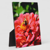 Hübsche Rote Blüte und Honigbiene Fotoplatte (Seite)