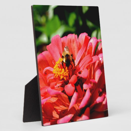 Hübsche Rote Blüte und Honigbiene Fotoplatte (Seite)