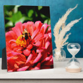 Hübsche Rote Blüte und Honigbiene Fotoplatte (Seite)