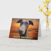 Hübsche rote Dobermanngeburtstagskarte Karte (Gelbe Blume)