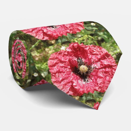 Hübsche Rote Mohnblume Blume Makro Krawatte (Gerollt)