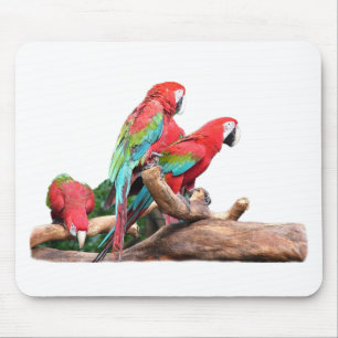 hübsche rote und blaue Papageien Mousepad