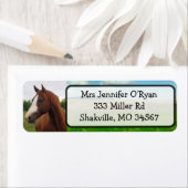 Hübsche Rücksendeadressen-Aufkleber (Insitu)