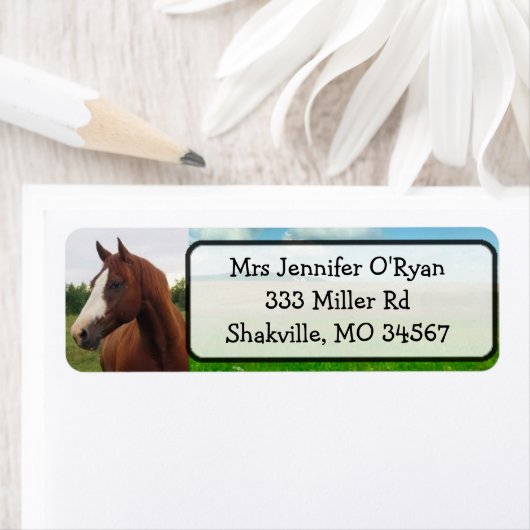 Hübsche Rücksendeadressen-Aufkleber (Insitu)