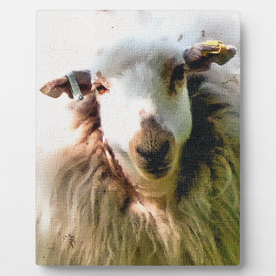 HÜBSCHE SCHAFE FOTOPLATTE