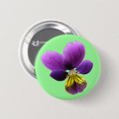 Hübsche Schaltfläche Button (Vorne & Hinten)