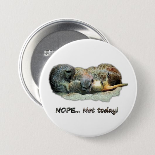 Hübsche, schlafende Mücken Button (Vorne & Hinten)