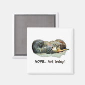 Hübsche, schlafende Mücken Magnet (Vorderseite/Rückseite)