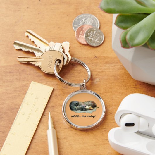 Hübsche, schlafende Mücken Schlüsselanhänger (Schreibtisch)