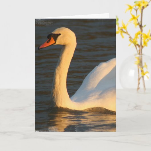 Hübsche Schwan-Gruß-Karte Karte (Gelbe Blume)