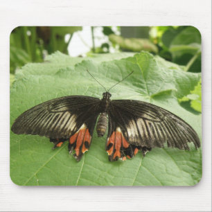 Hübsche Schwarz-Rot-Gold-Schmetterlingsmousepad Mousepad